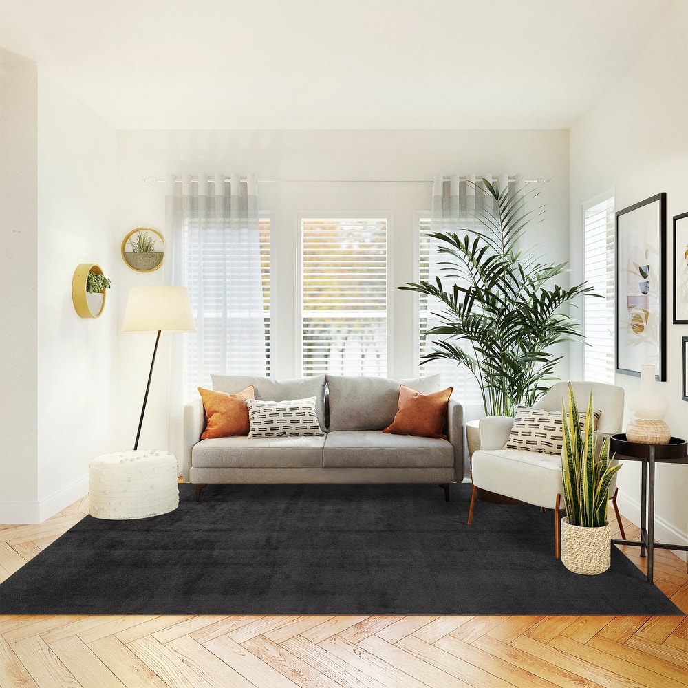 Cadence Tonee Plush Polyester Solid Color Non-Slip Super-Soft Shag Indoor Area Rug