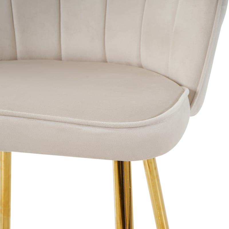 Set of 2 Shell Shape Velvet Bar Chair with Gold-plated Metal Legs