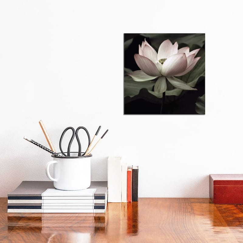 iCanvas "The Lotus I" by Andy Neuwirth Canvas Print - 12x12x0.75