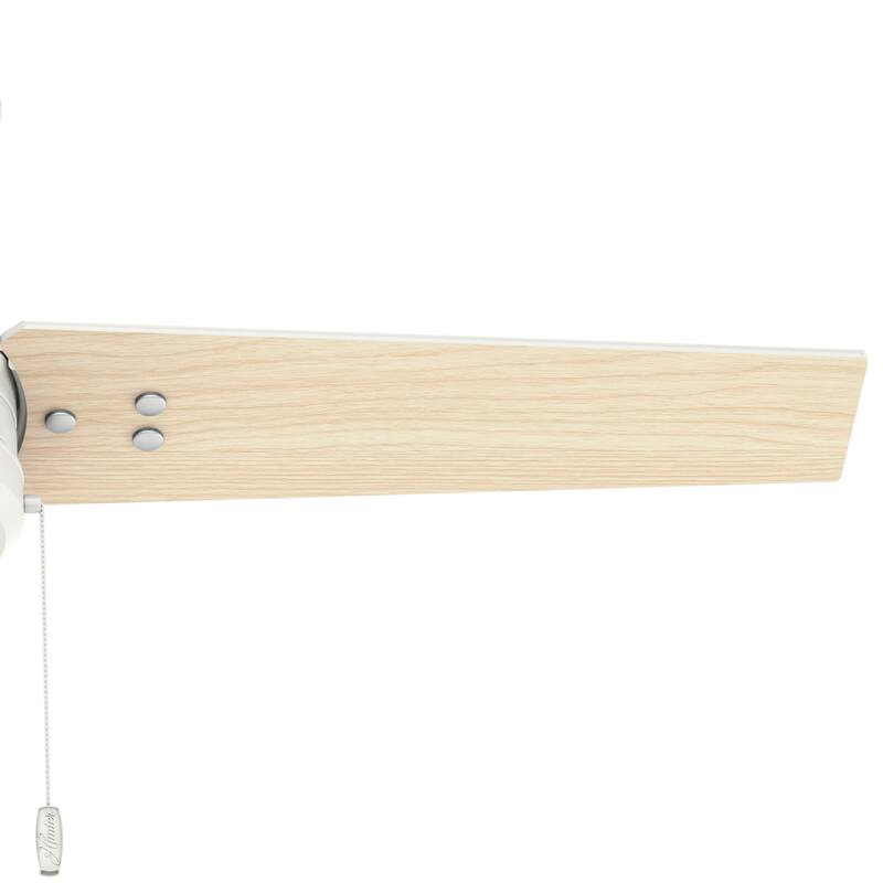 Hunter Cassius Outdoor 44 inch Ceiling Fan 50262