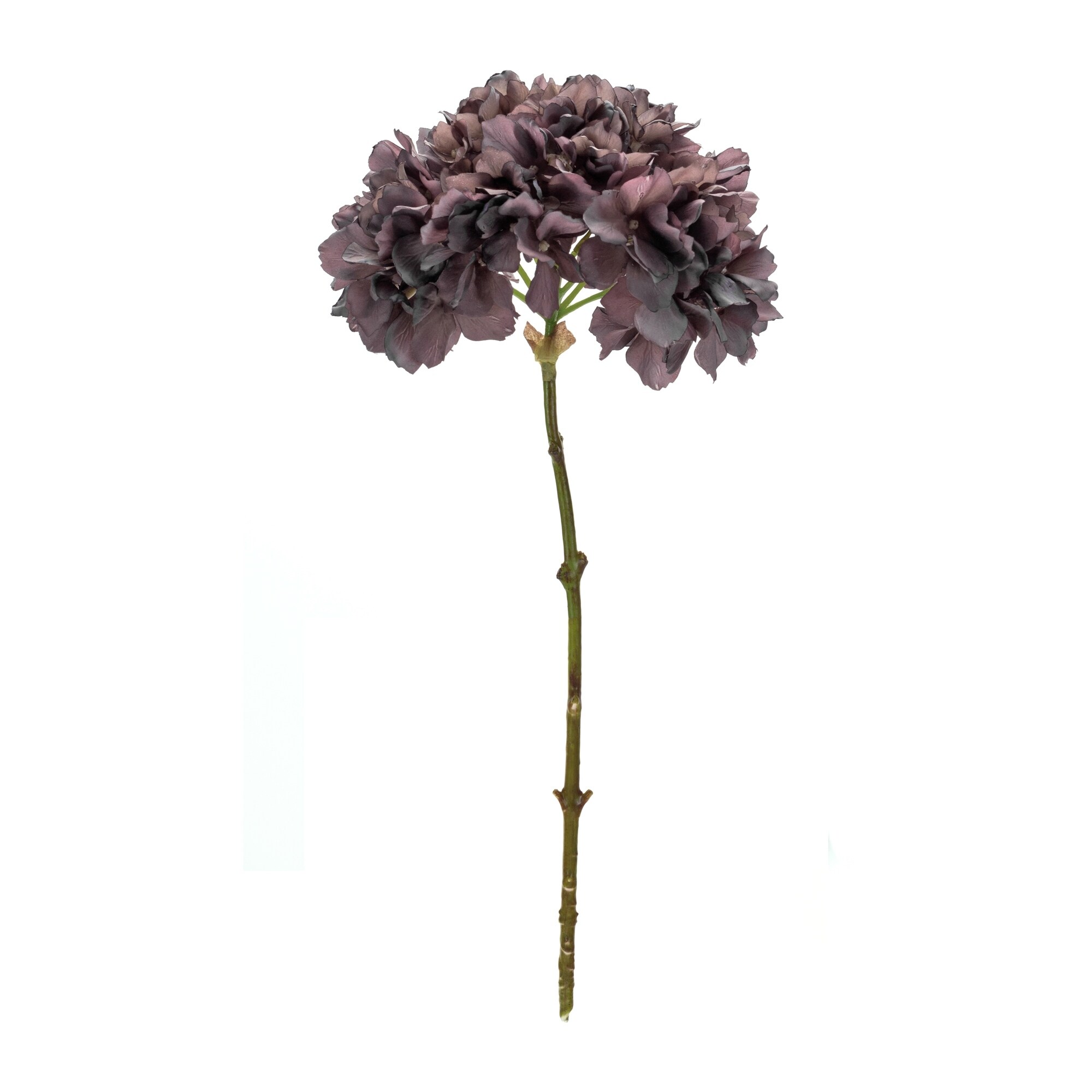 Hydrangea4937　1202 Hydrangea Bundle (Set of 6) - 8undefined x 8undefined x