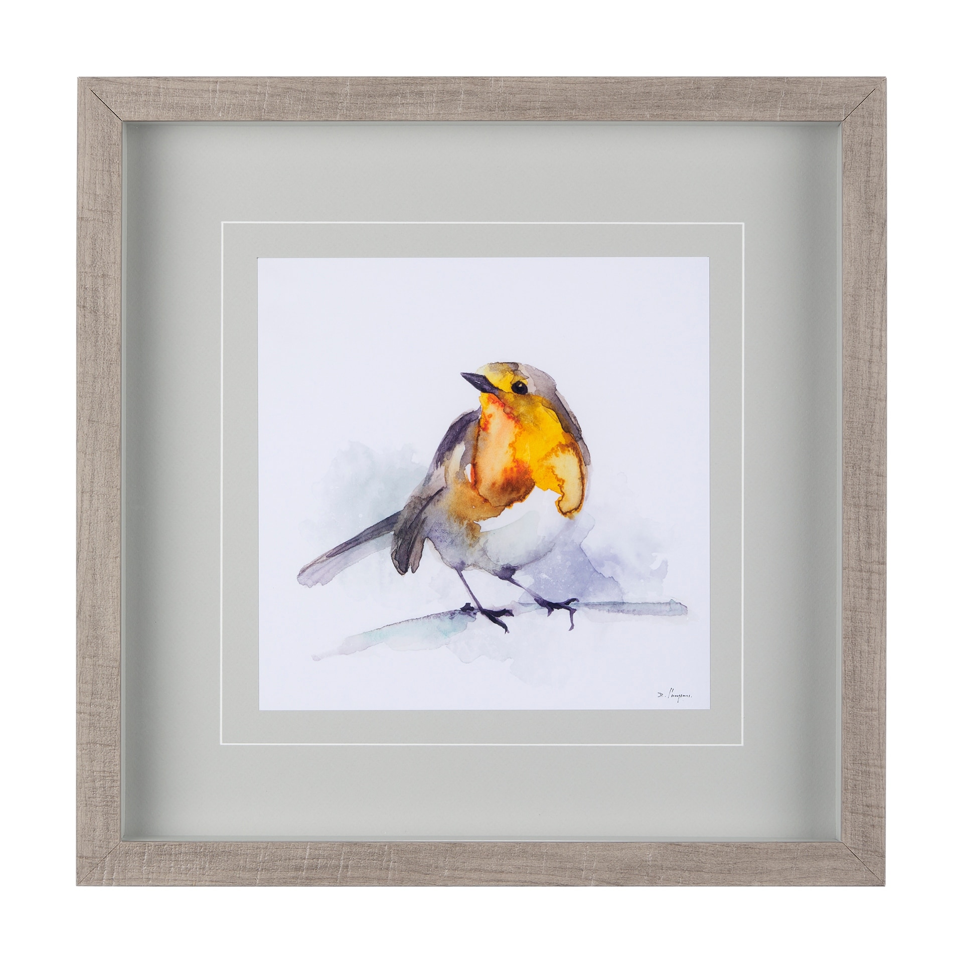 Mercana Robin IV by Mercana Studio a Hand Embellished Textured Framed Art Print Matted under Glass