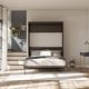 preview thumbnail 31 of 33, Signature Sleep Paramount Queen Murphy Bed, Black Oak