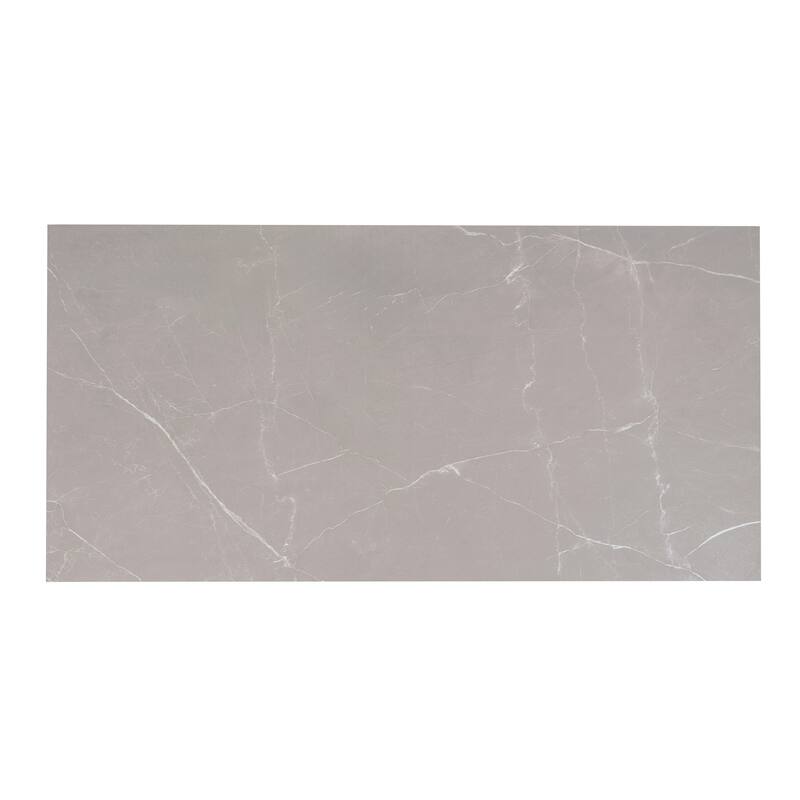 Regalia 24x48 in. Matte Porcelain Marble-look Vein Large Wall and Floor Tile (15.5 sq ft/case, 2-Pack)