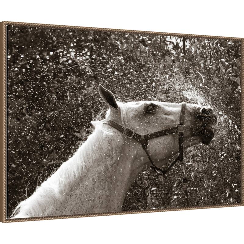 After a Shower by Jim Dratfield Framed Canvas Wall Art Print