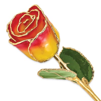 Curata Lacquer Dipped Gold Trimmed Yellow/Red Real Rose