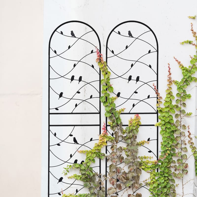 4 Pack Metal Garden Trellis Rustproof Trellis for Climbing Plants Outdoor Flower Support Bird Deco Black