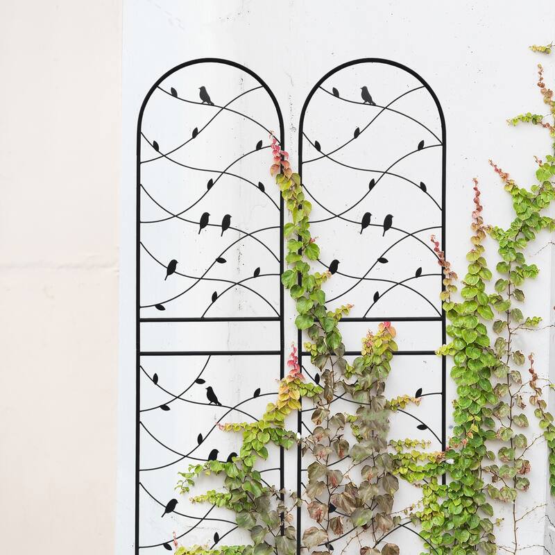Metal Garden Trellis
