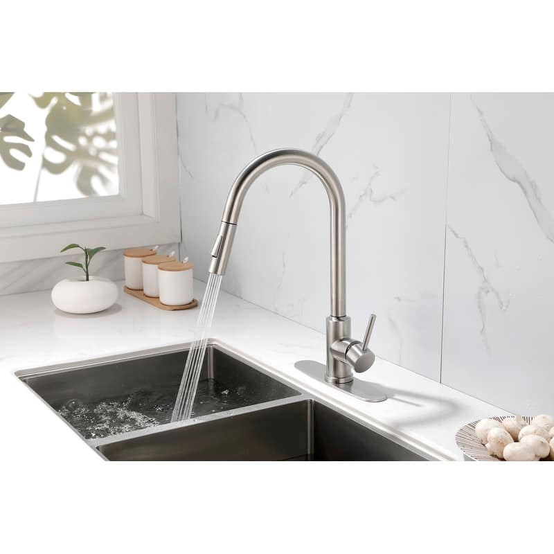 Kitchen Faucet with Pull Down Sprayer