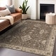 preview thumbnail 69 of 118, Machine Washable Indoor/ Outdoor Traditional Chantille Rug