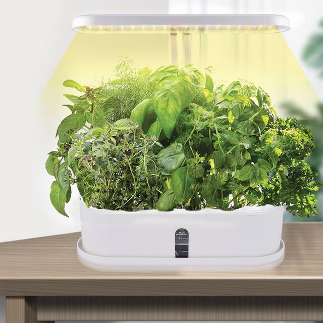 LED Height Adjustable Automatic 10-Pod Indoor Garden Germination Kit DIY - White