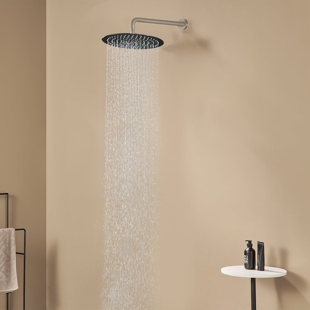 1-Spray Pattern with 2.5 GPM Round Ceiling Mount Rain Fixed Shower Head