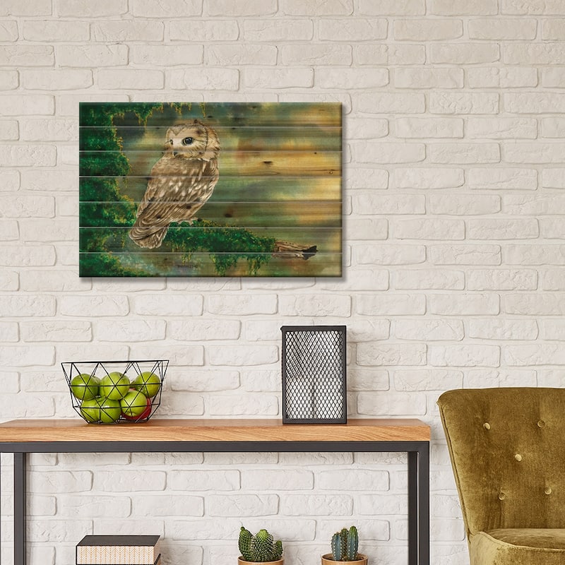 Saw Whet Owl Print On Wood by Dave Bartholet - Multi-Color