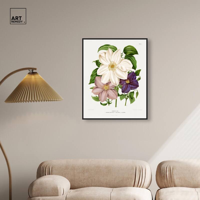 Clematis Canvas by Art Remedy