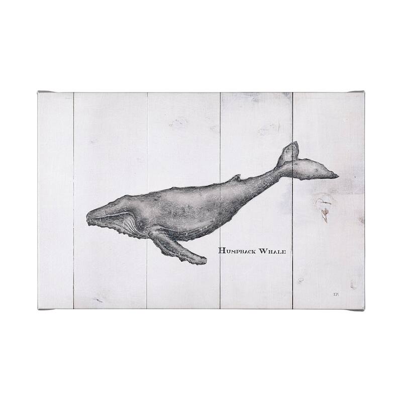 Humpback Whale (50 x 30) Canvas Art Print - Large