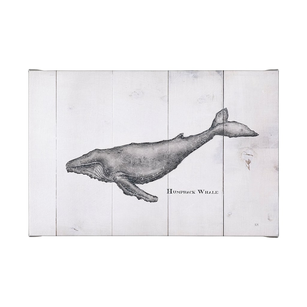 Humpback Whale (50 x 30) Canvas Art Print