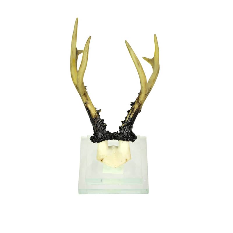 Alpine Chamois Horns Replica Glass Backed Wall Hanging