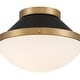 preview thumbnail 9 of 9, Crystorama Lighting Group XAN-8001 Xander 12" Wide Flush Mount Bowl