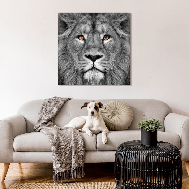 King of the Jungle Lion Unframed Free Floating Tempered Glass Wall Art