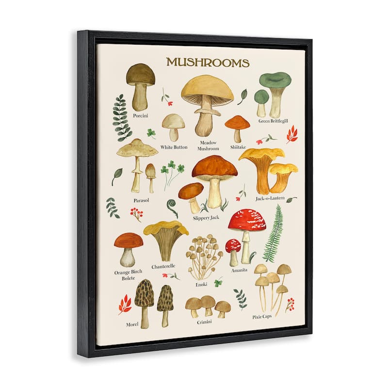 Stupell Foraging Mushrooms Studies Framed Floater Canvas Wall Art Design by Sharon Lee