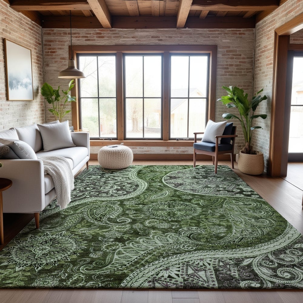 Premium Washable Super Soft Modern Paisley Mayfield Rug