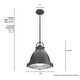 preview thumbnail 12 of 15, Hunter Bridgemoor 14" 2-Light Pendant - Kitchen Island, Dining Room - Modern Industrial, Farmhouse