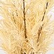 preview thumbnail 2 of 2, SAFAVIEH Faux 20-inch Potted Wheat Plant - 12" W x 12" D x 20" H