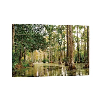 iCanvas "Charleston Cypress Gardens XLI" by Bethany Young Canvas Print