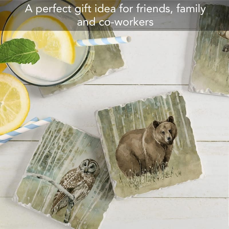 Nature's Call Multi-Image Absorbent Stone Tumbled Tile Coaster 4 Pack with Protective Cork Backing Manufactured in The USA