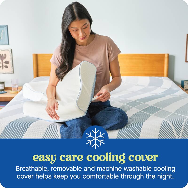 Sealy Dreamlife Contour Memory Foam Pillow, Standard