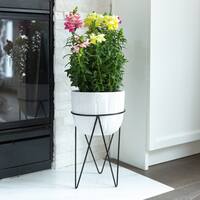 White Planters Hangers Stands Shop Online At Overstock Grow your garden with outdoor plant stands and garden pots. white planters hangers stands shop