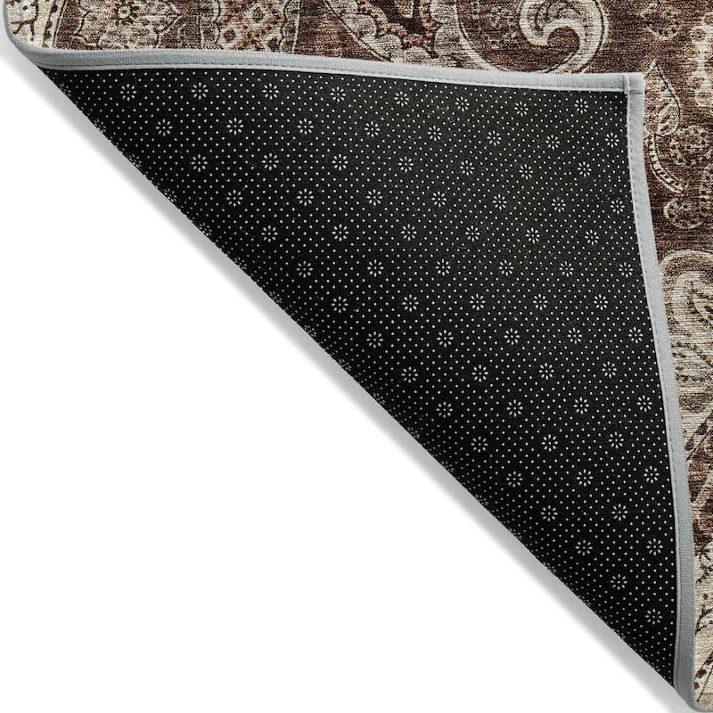 Machine Washable Indoor/ Outdoor Modern Paisley Chantille Rug