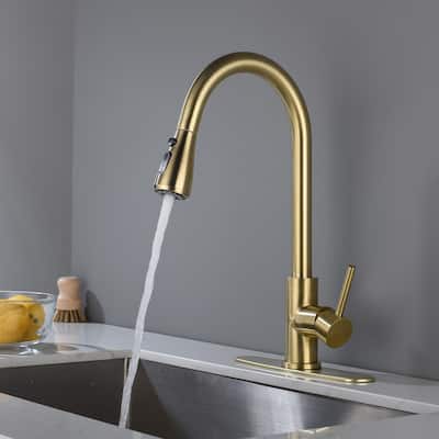 Kitchen Faucet with Pull Out Spraye 