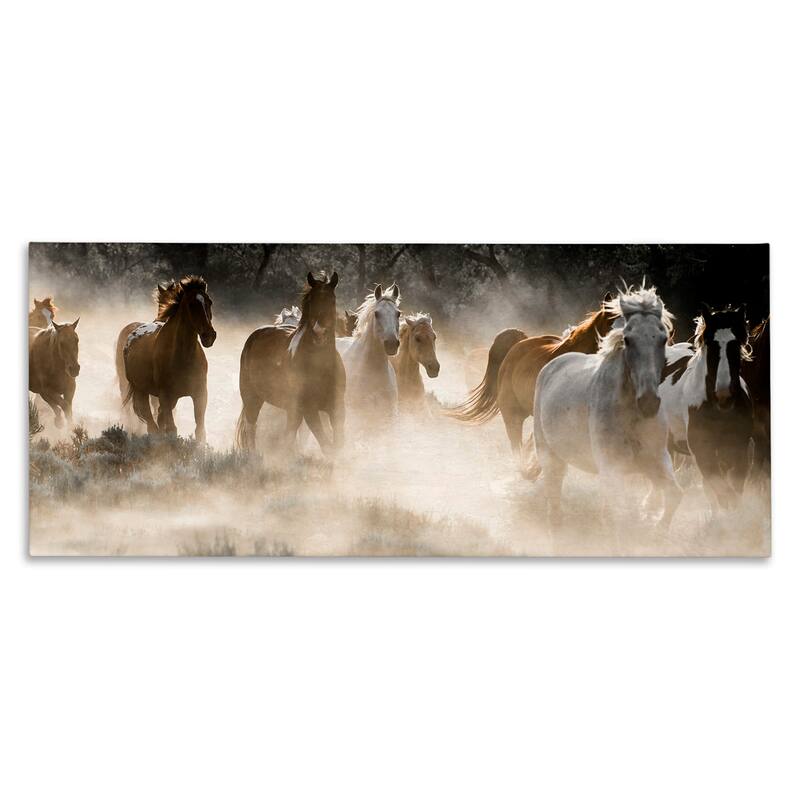 Stupell Striking Horse Herd Galloping Rural Wildlife Photography Canvas Wall Art, Design by Danita Delimont - 24 x 10