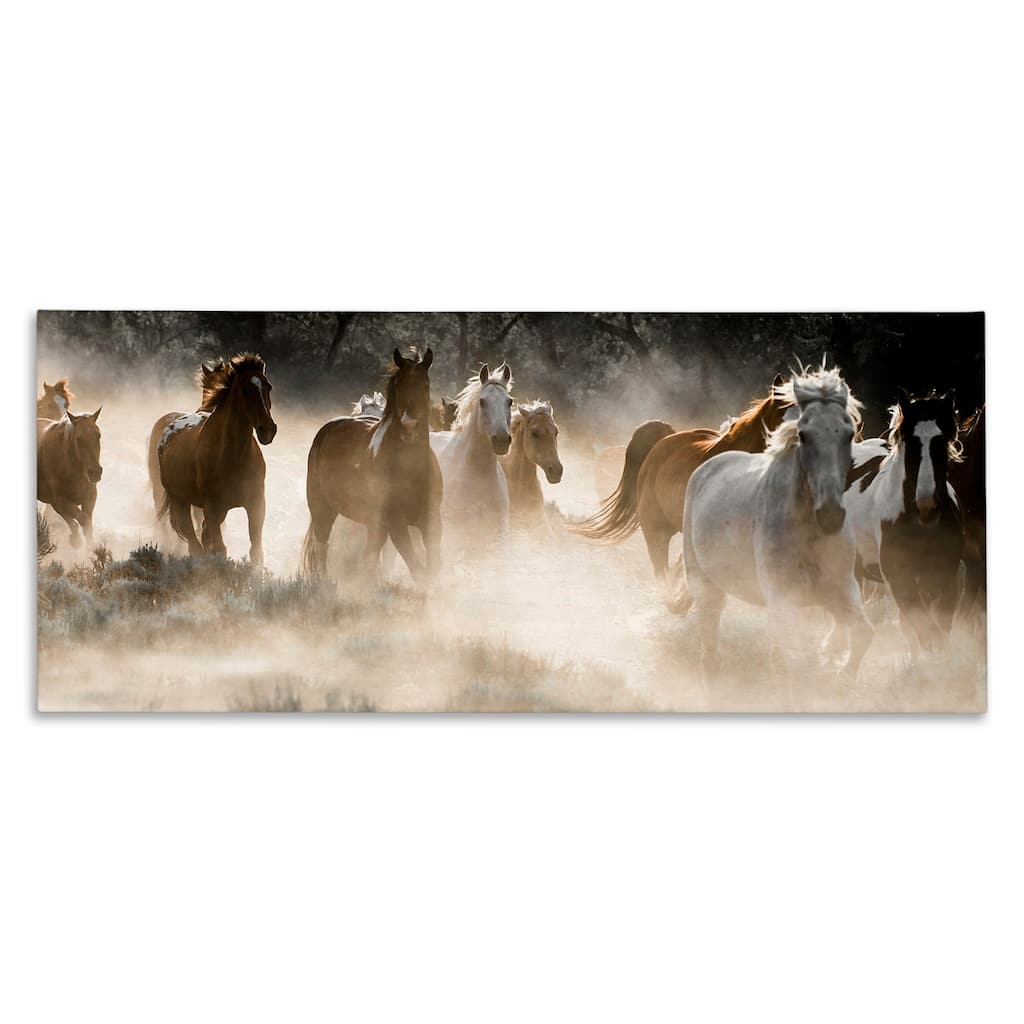 Stupell Striking Horse Herd Galloping Rural Wildlife Photography Canvas Wall Art, Design by Danita Delimont