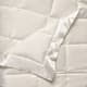 Option Ivory