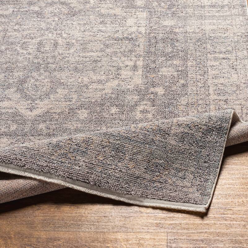 Livabliss Azaan Traditional Area Rug