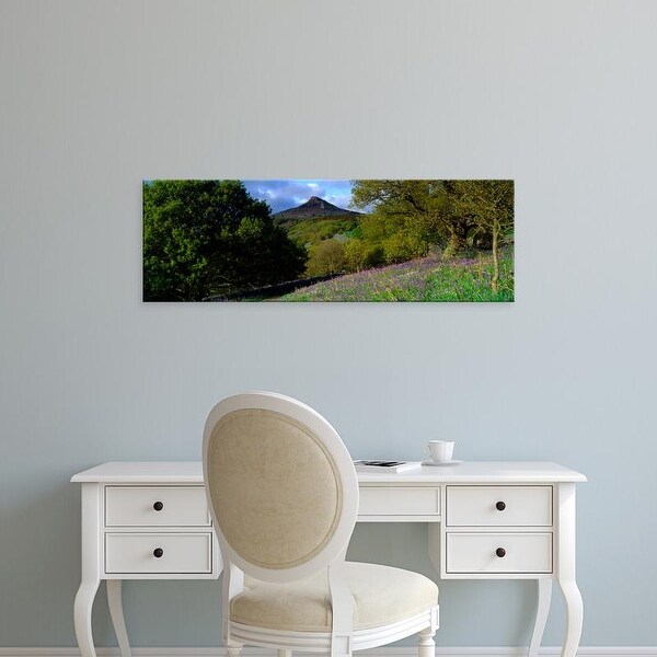 Easy Art Prints Panoramic Image 'Bluebell Flowers, Cleveland, North Yorkshire, England, United Kingdom' Canvas Art