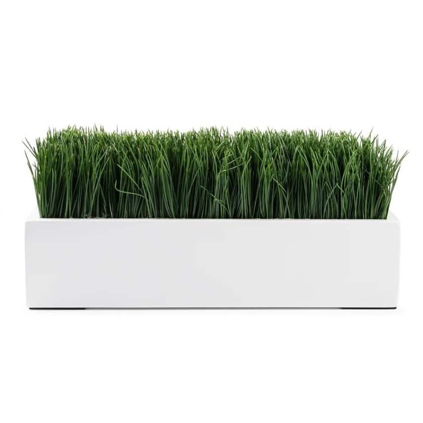Grass Arranged in Fiberstone Planter - Green