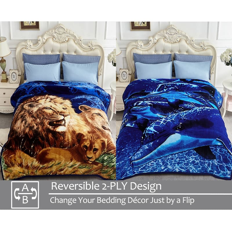 Raschel A&B Printed 2-ply Reversible Korean-style Plush Fleece Blanket