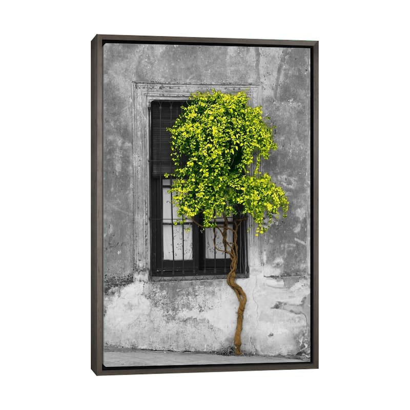 Large Wall Art, Framed Art, Modern Art, Plants, Botanical, by Panoramic Images - Charcoal