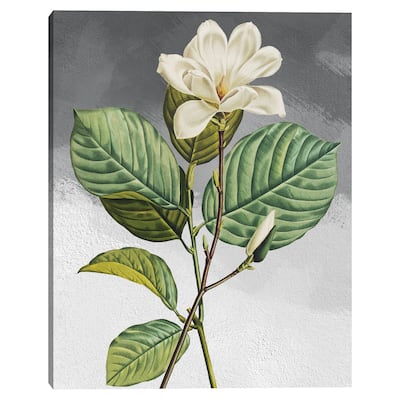 Yulan Magnolia Grey by Design Lab Canvas Art Print
