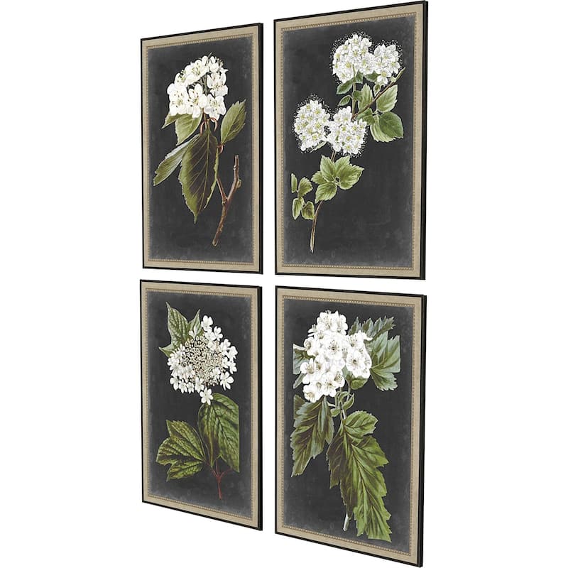 Dramatic White Flower S/4 Framed Art Giclee Under Glass