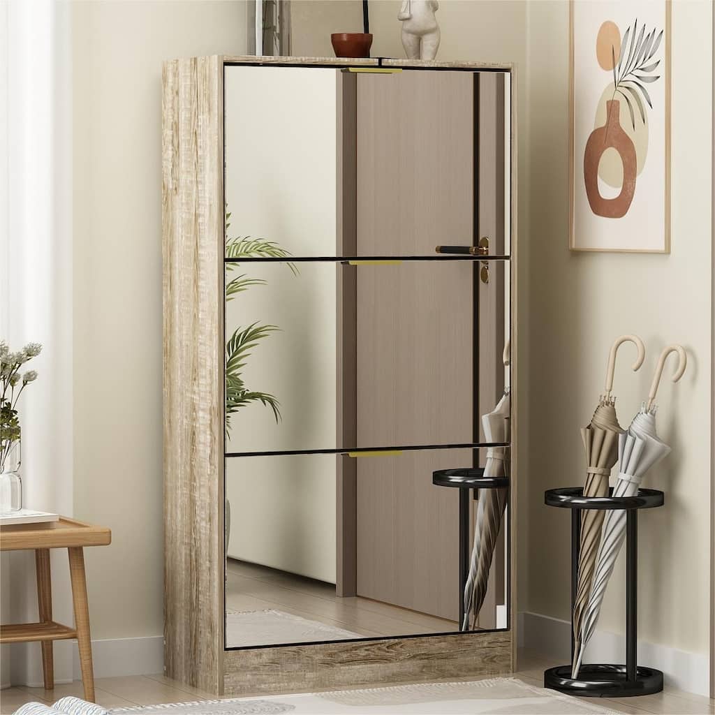 Timechee Mirrored Flip Drawer Shoe Cabinet Storage Cabinet Organizer