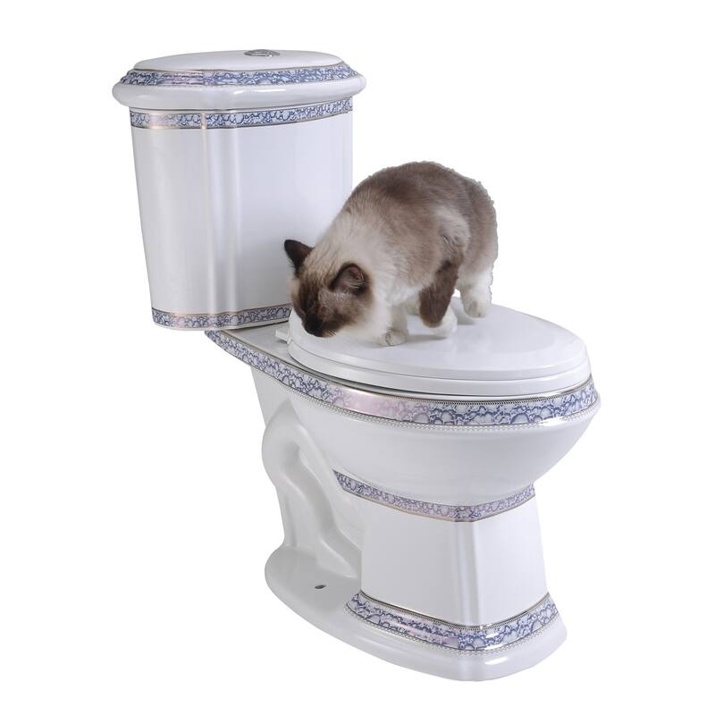 India Reserve Blue Gold Porcelain Elongated Two Piece Toilet Dual Flush Push Button Slow Close Toilet Seat