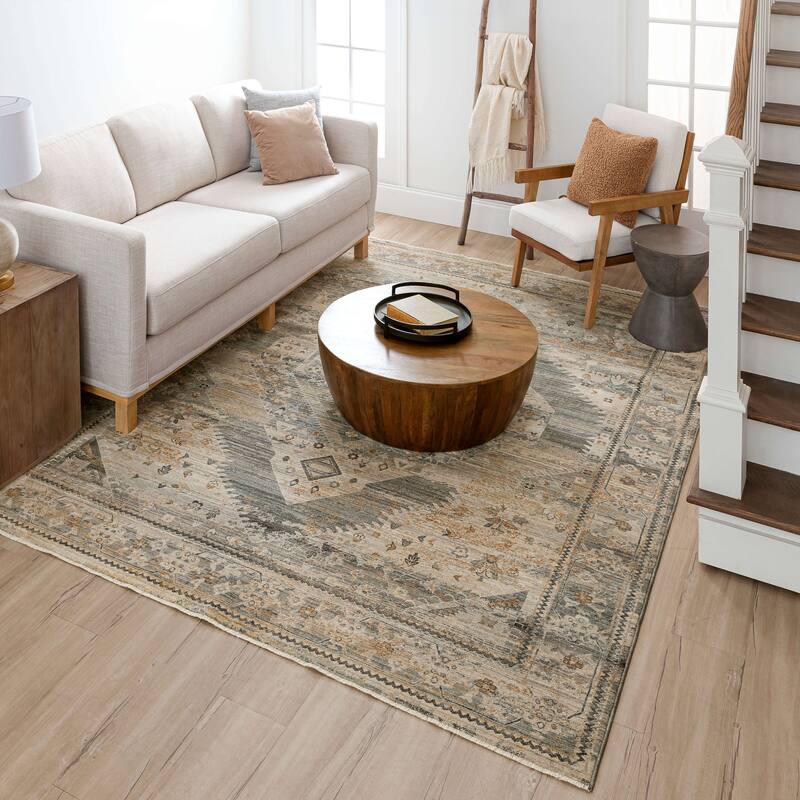 Karastan Gamin Distressed Medallion Area Rug