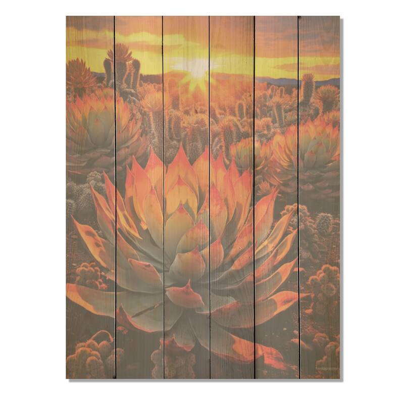 Designart "Green And Red Succulent Cactus Field Sunset I" Succulent Wall Art Red Wood Panel On Natural Pine Wood