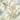 Trailing Palm Non-Pasted Wallpaper – 396in. x 21in. – Covers 56 square feet