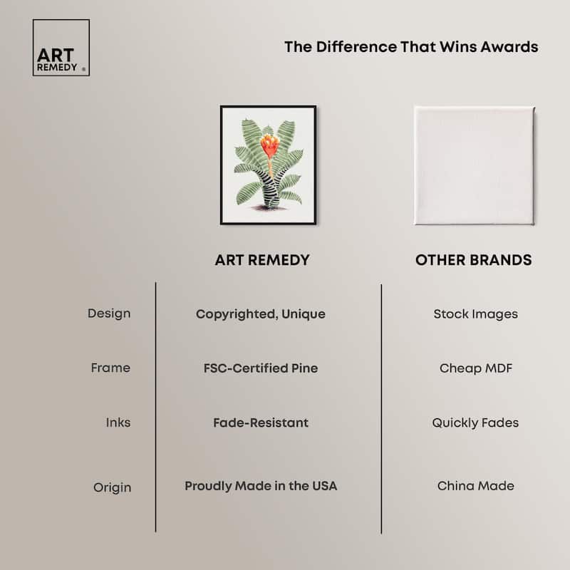 Tillandsia Musaica Plant Canvas by Art Remedy