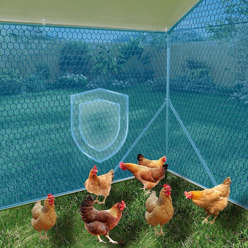 Large Metal Chicken Coop, Walk in Poultry Cage for 20/ 30 Chickens